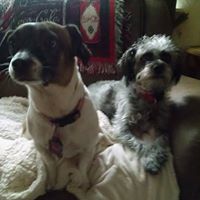 Connie Andersen Photo 10