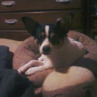 Leroy Peters Photo 33