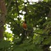 Robin Maples Photo 15