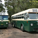 Thomas Whiteman Photo 32