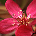 Ann Stubbs Photo 15
