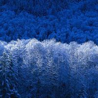 William Pfeifer Photo 33
