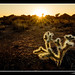 Joshua Neeley Photo 16