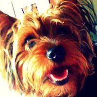 Leroy Jenkins Photo 10