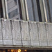 William Fox Photo 11