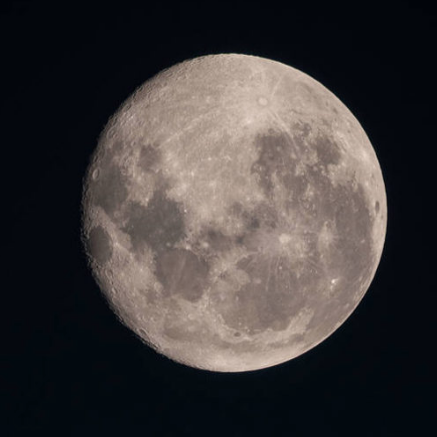 P Miller Photo 32