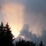 Janice Roberts Photo 6