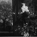 Julia Atkinson Photo 13