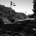 Barbara Path Photo 7