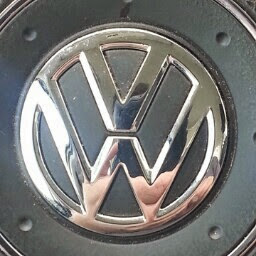 Scott Ritchie Photo 4