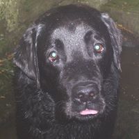 Barney Robinson Photo 12
