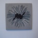 Colleen Morrow Photo 35