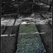 George Webster Photo 32