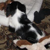 Paulette Beck Photo 6