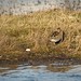 David Snipes Photo 32