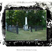 Sharon Tipton Photo 21