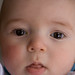 Sam Sharp Photo 26