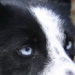 Terri Friday Photo 16