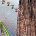 Ferris Walker Photo 6
