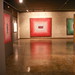 Carol Goldberg Photo 13