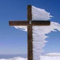 Donna Curtis Photo 14