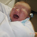Edward Maloney Photo 32