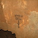 Crystal Dill Photo 23