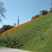 Joan Blackmon Photo 7
