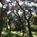 Debbie Oaks Photo 18