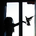 Debora Wing Photo 4