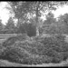 Walter Warren Photo 14
