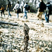 Marcus Myrick Photo 14