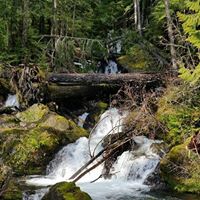Susan Tufts Photo 24