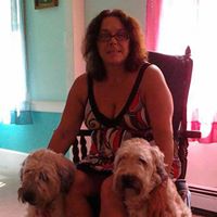 Ann Medeiros Photo 13