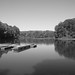 Randolph White Photo 14