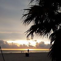 Susan Garrison Photo 29