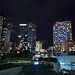 Francisco Arevalo Photo 9