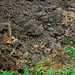 Lisa Sharkey Photo 22