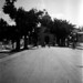 Patsy Sutherland Photo 22