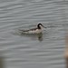 Shelley Wilson Photo 33