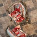 Gregory Bone Photo 21