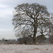 Garry Dukes Photo 7