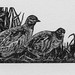Christy Quail Photo 1