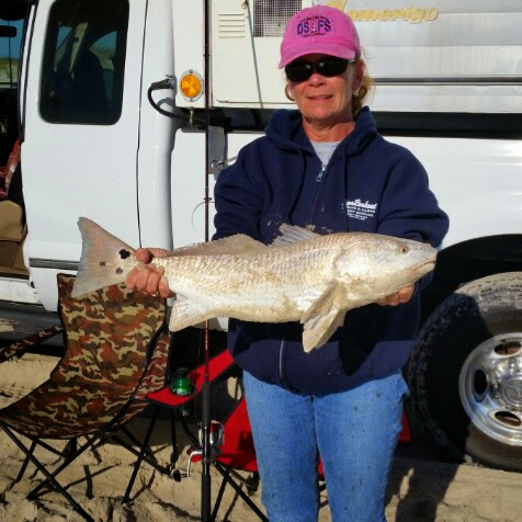 Debra Grimes Photo 3