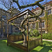 Geraldine Hall Photo 11