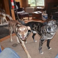John Coe Photo 15