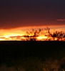 Stephen Myers Photo 13