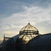 Tammy Phipps Photo 7