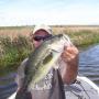 Lyle Yoder Photo 7