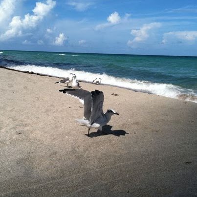 Kevin Beck Photo 33